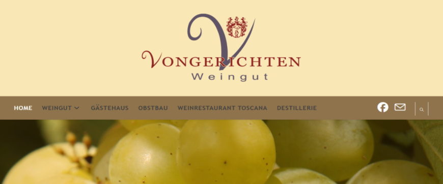 Weingut und Gästehaus Vongerichten