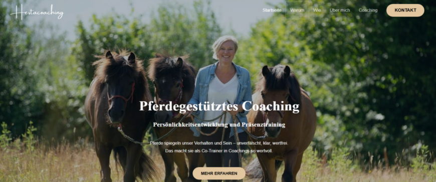 Pferdegestütztes Coaching  –  Dannau